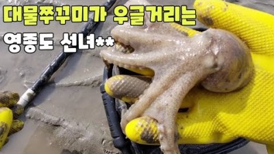 서울근교  해루질 명소 영종도 선녀바위 해루질 포인트, 서해 갯벌 쭈꾸미해루질 정보