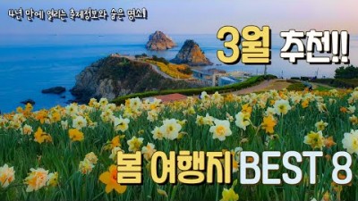 봄꽃 축제 꼭 가 봐야 하는 3월 추천 여행지 BEST 8 숨은 벚꽃명당 부터 부산 오륙도 수선화 광양 매화축제 구례 산수유축제 진해군항제  가볼만한곳