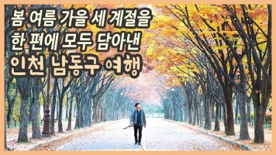 인천 남동구 여행 가볼만한곳,소래포구 어시장,소래습지 생태공원,인천대공원,장수동 은행나무,해넘이다리 ,국내여행지추천,국내여행,갈만한곳