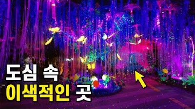 국내여행 영행지추천 당일치기여행 뚜벅이여행 겨울여행 겨울나들이 사계절 여행 갈만한곳