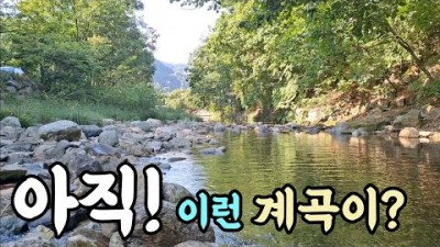 서울근교 계곡 차박캠핑여행 가볼만한곳 통발낚시 산중캠핑 차박지 갈만한곳 추천