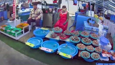 강릉 주문시장 가볼만한곳 어시장 주문진여행 수산시장 갈만한곳 추천